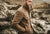 OUTERWEAR & STATEMENTS JACKETS